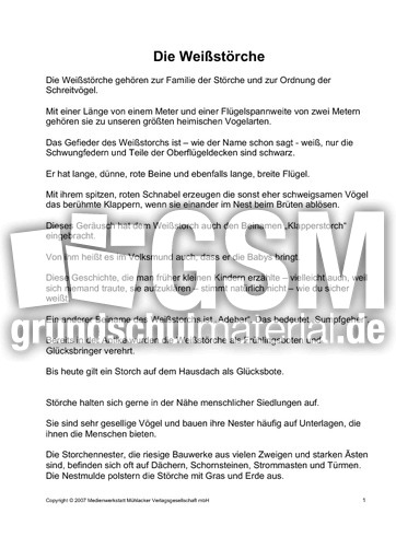Fehlerlesen-Weißstorch-nur-Text-1.pdf